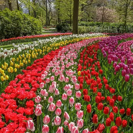 Pura Vida Panorama Feriehus Oud Ade