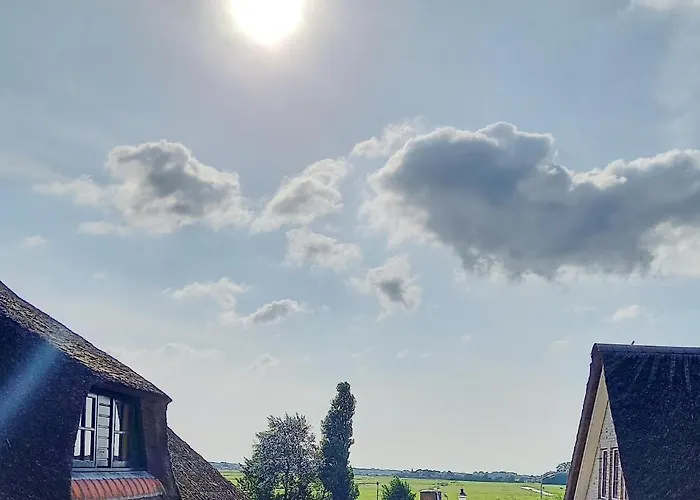 Tatil Evi Pura Vida Panorama